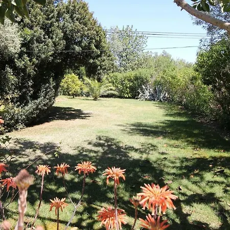 Vila Caroline V3 Com Piscina Em Villa Boliqueime