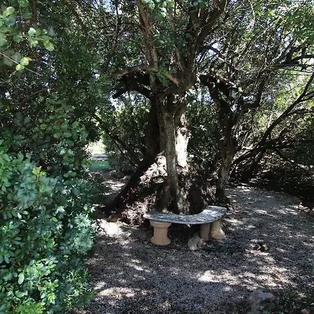 Vila Caroline V3 Com Piscina Em فيلة